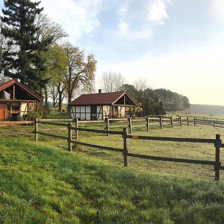 Вілла Pferdehof Шорфгайде Екстер'єр фото